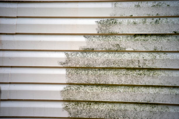 How To Choose The Right Materials for Your Siding Installation in 'Knoxville, IL