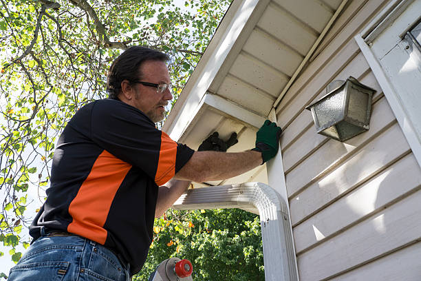 Knoxville, IL Siding Services Company